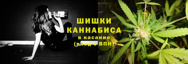 индика Киренск