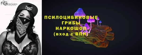 индика Киренск