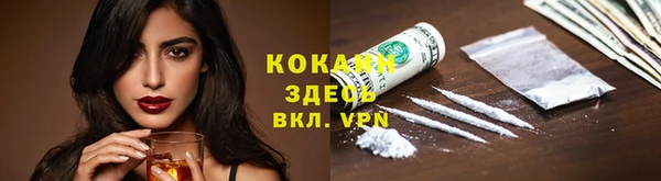 индика Киренск