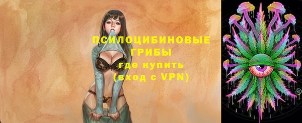 индика Киренск