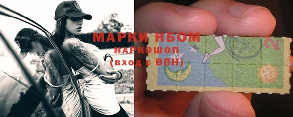 индика Киренск