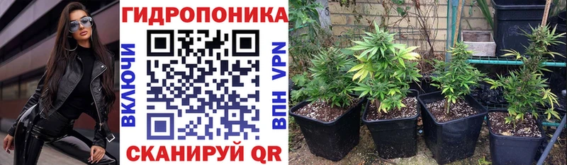Купить где  Дагестанские Огни  МАРИХУАНА Amnesia 